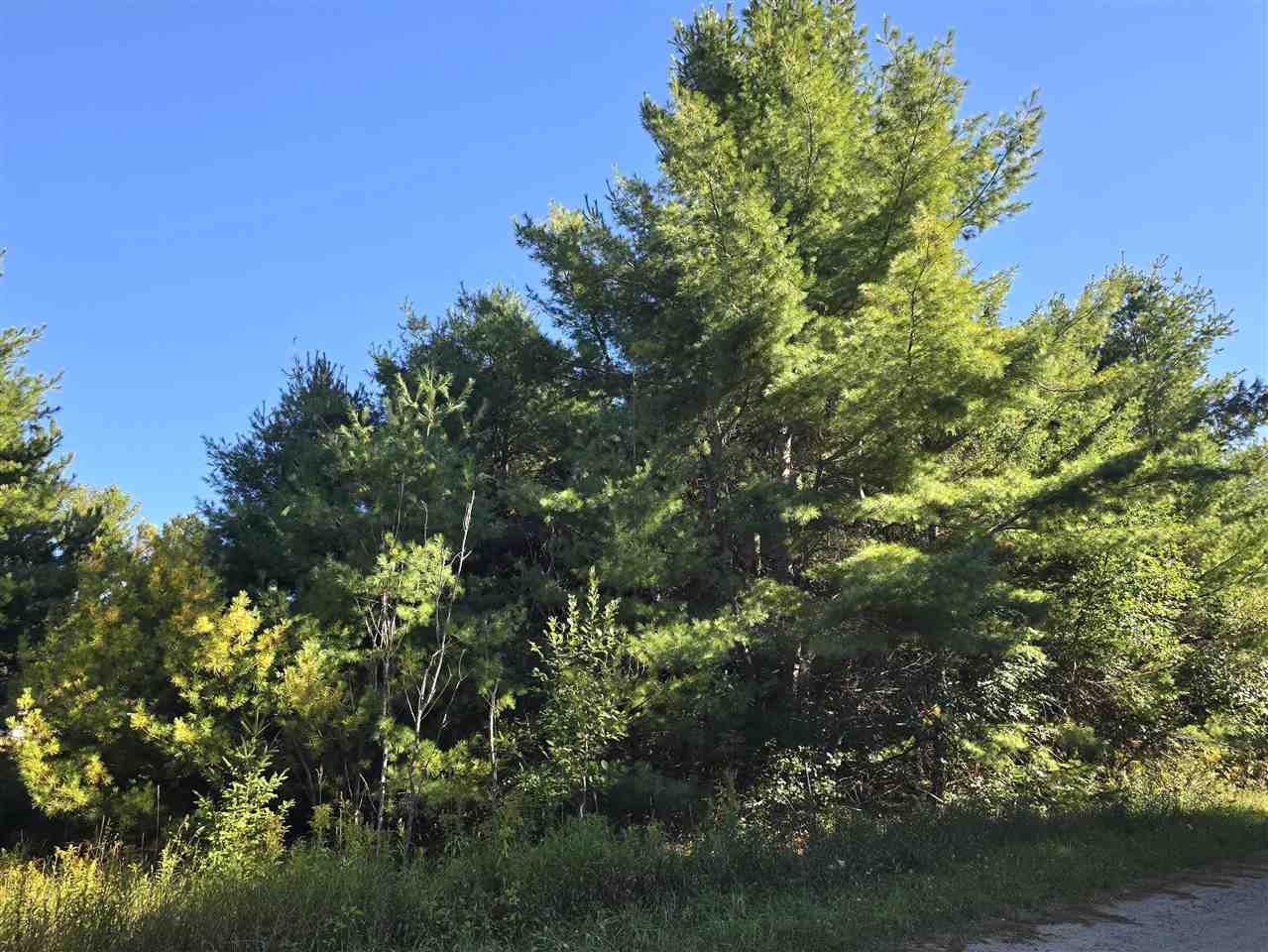 10534 Sunset Drive Carp Lake MI 49718