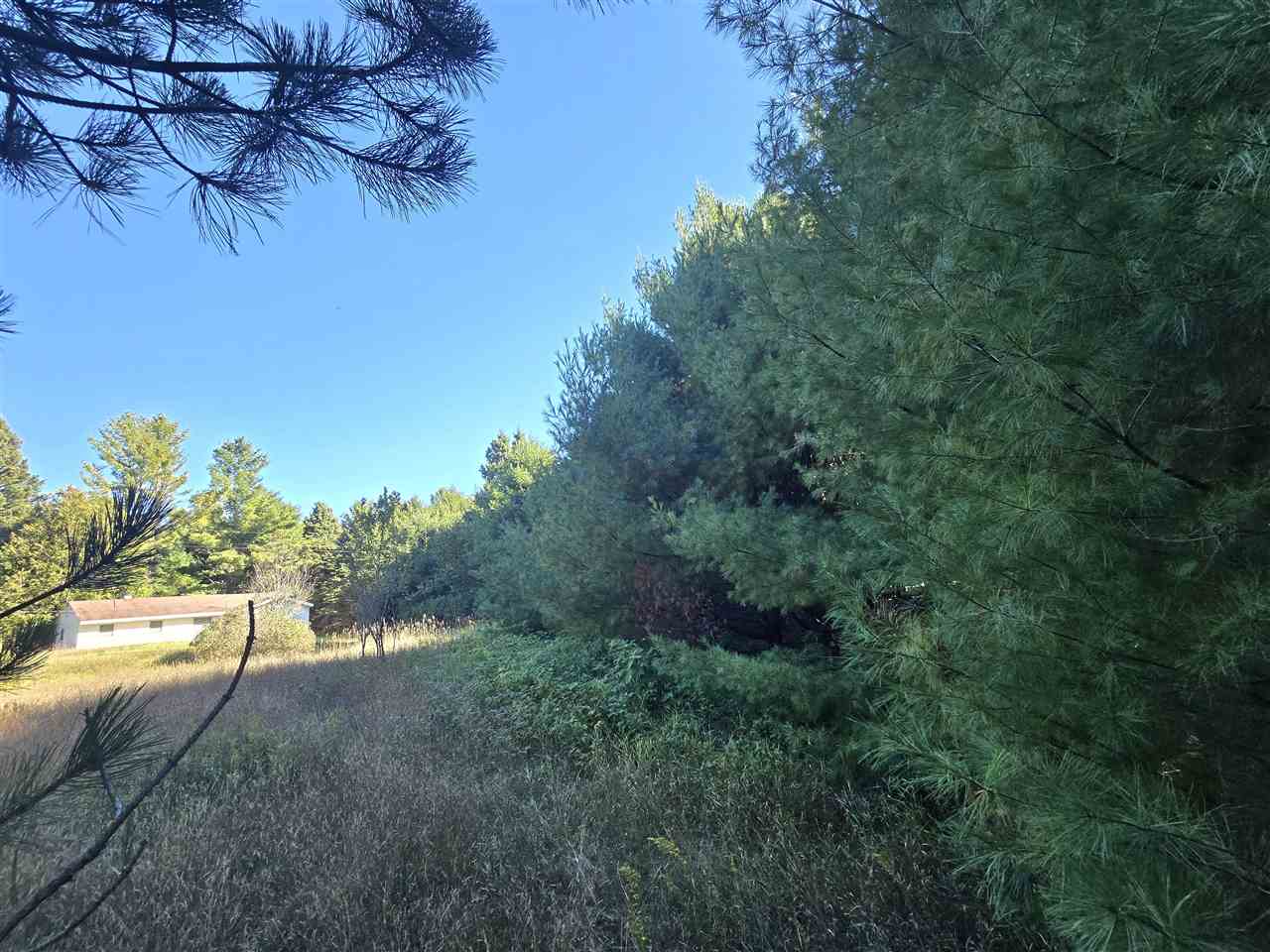 10534 Sunset Drive Carp Lake MI 49718