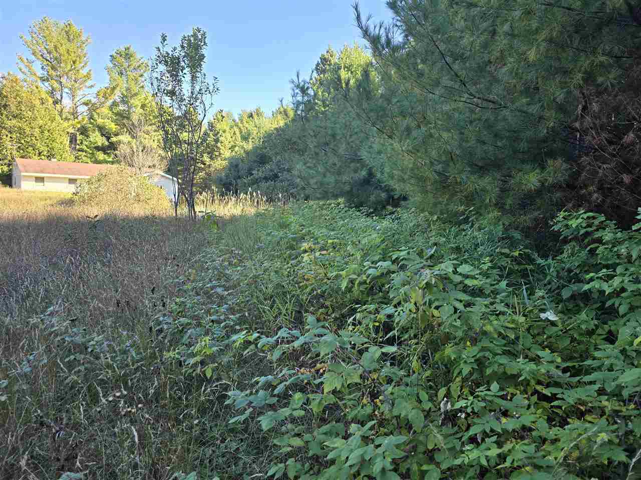 10534 Sunset Drive Carp Lake MI 49718