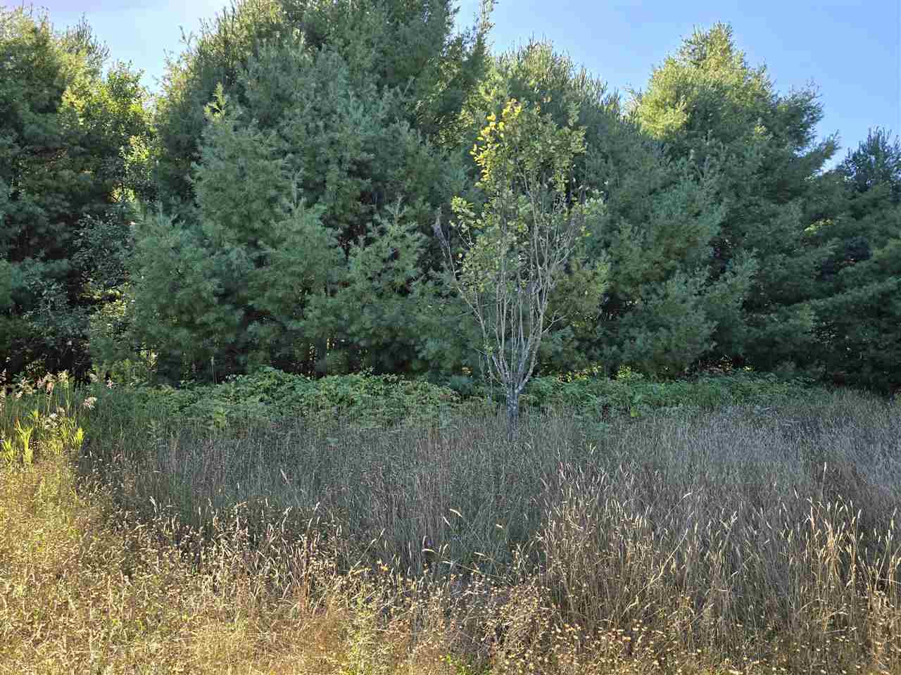 10534 Sunset Drive Carp Lake MI 49718