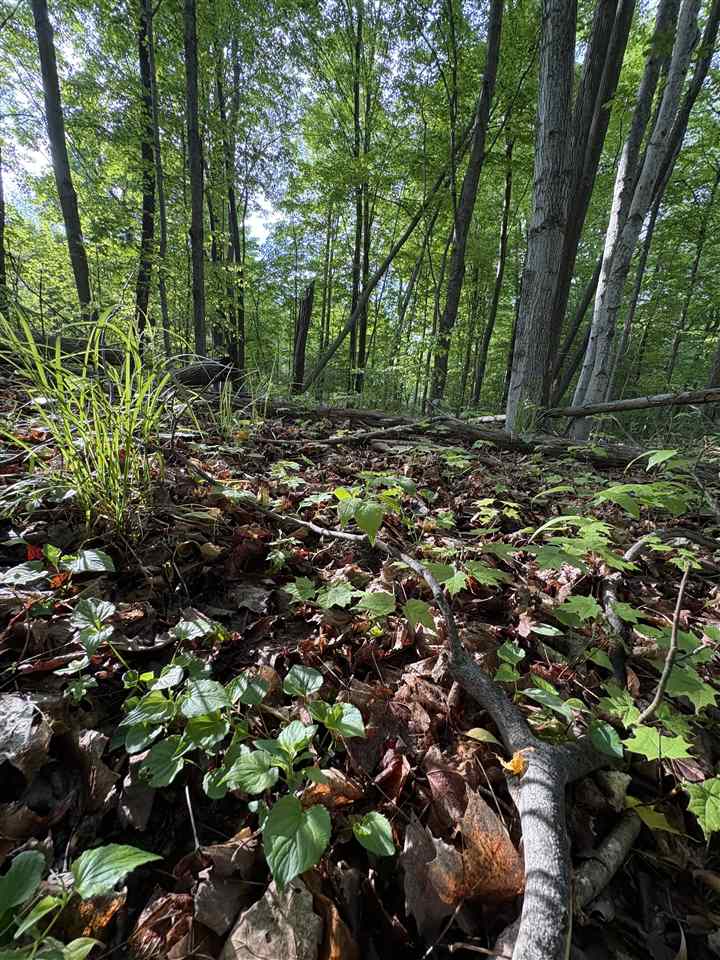 Tbd Erie Street East Jordan MI 49727