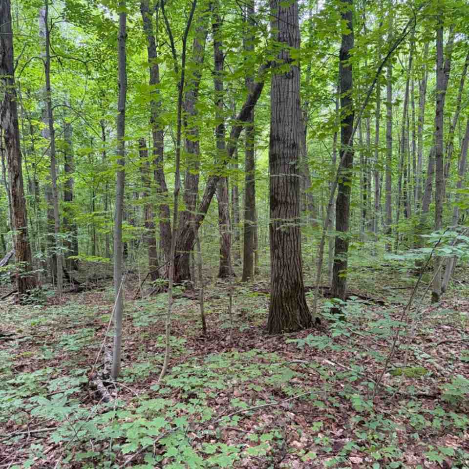 Parcel D Peterson Road Mancelona MI 49659