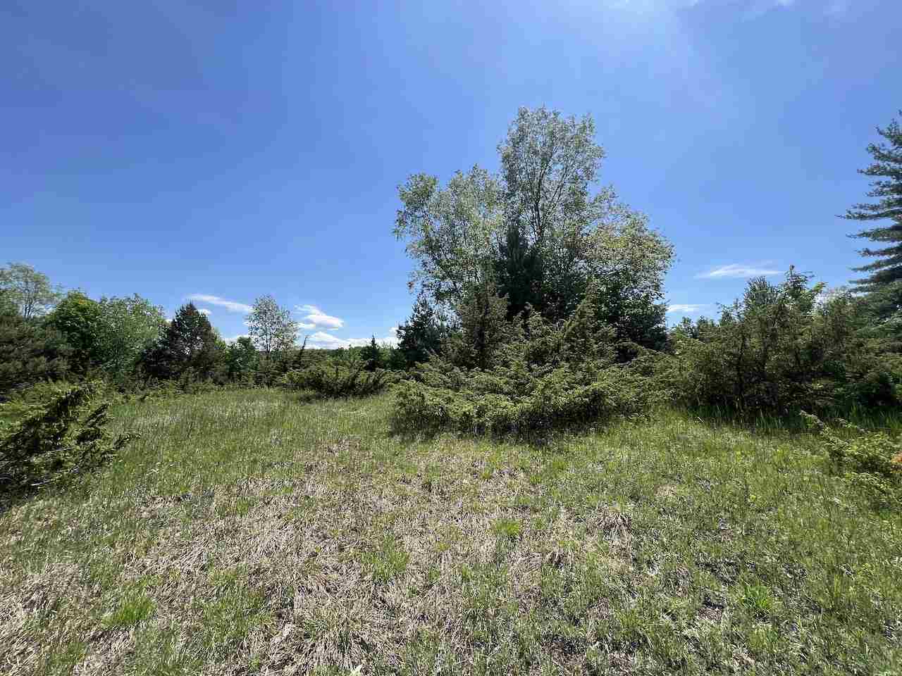 Unit 41 Talon Trace Bellaire MI 49615