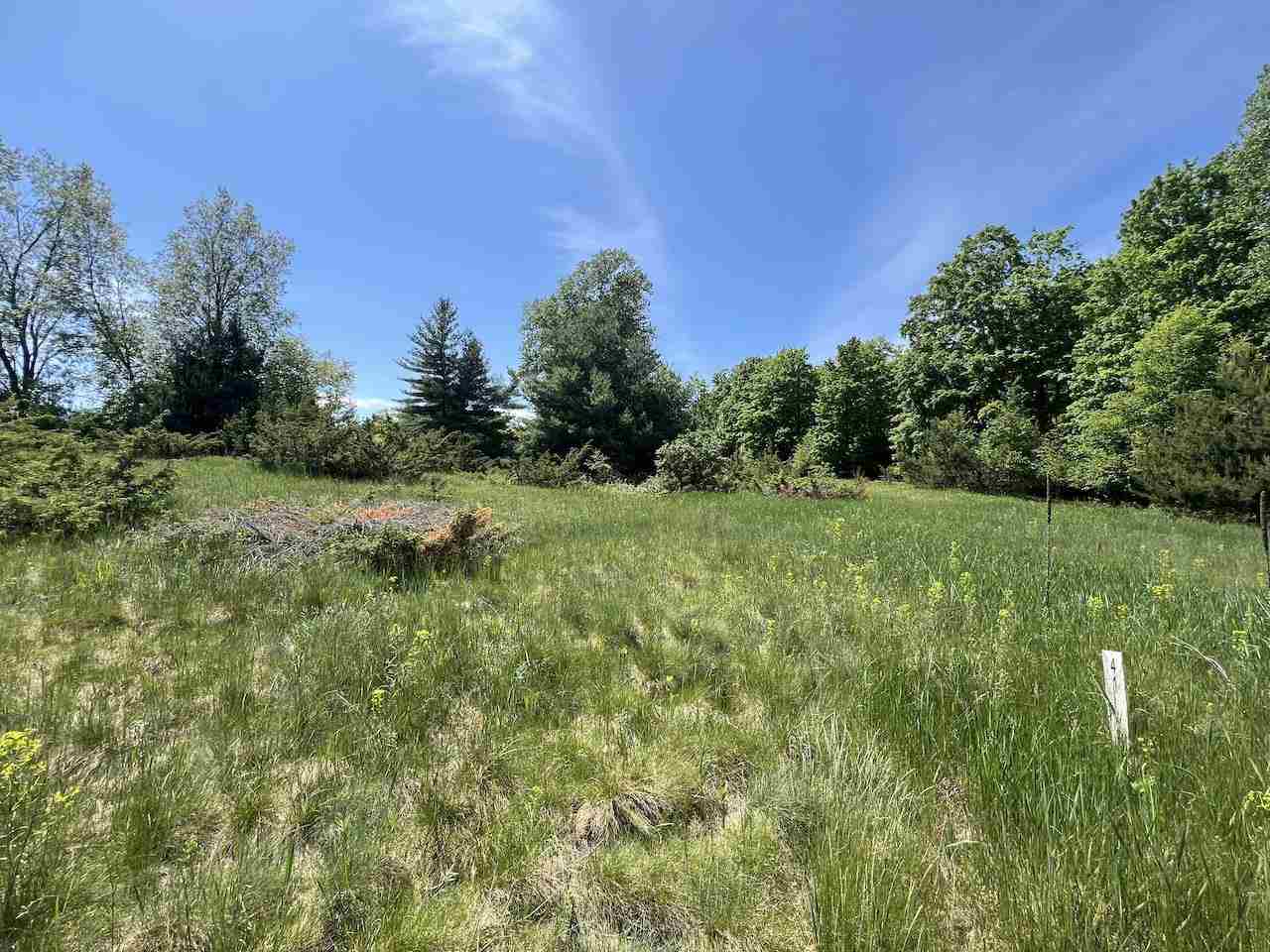 Unit 41 Talon Trace Bellaire MI 49615