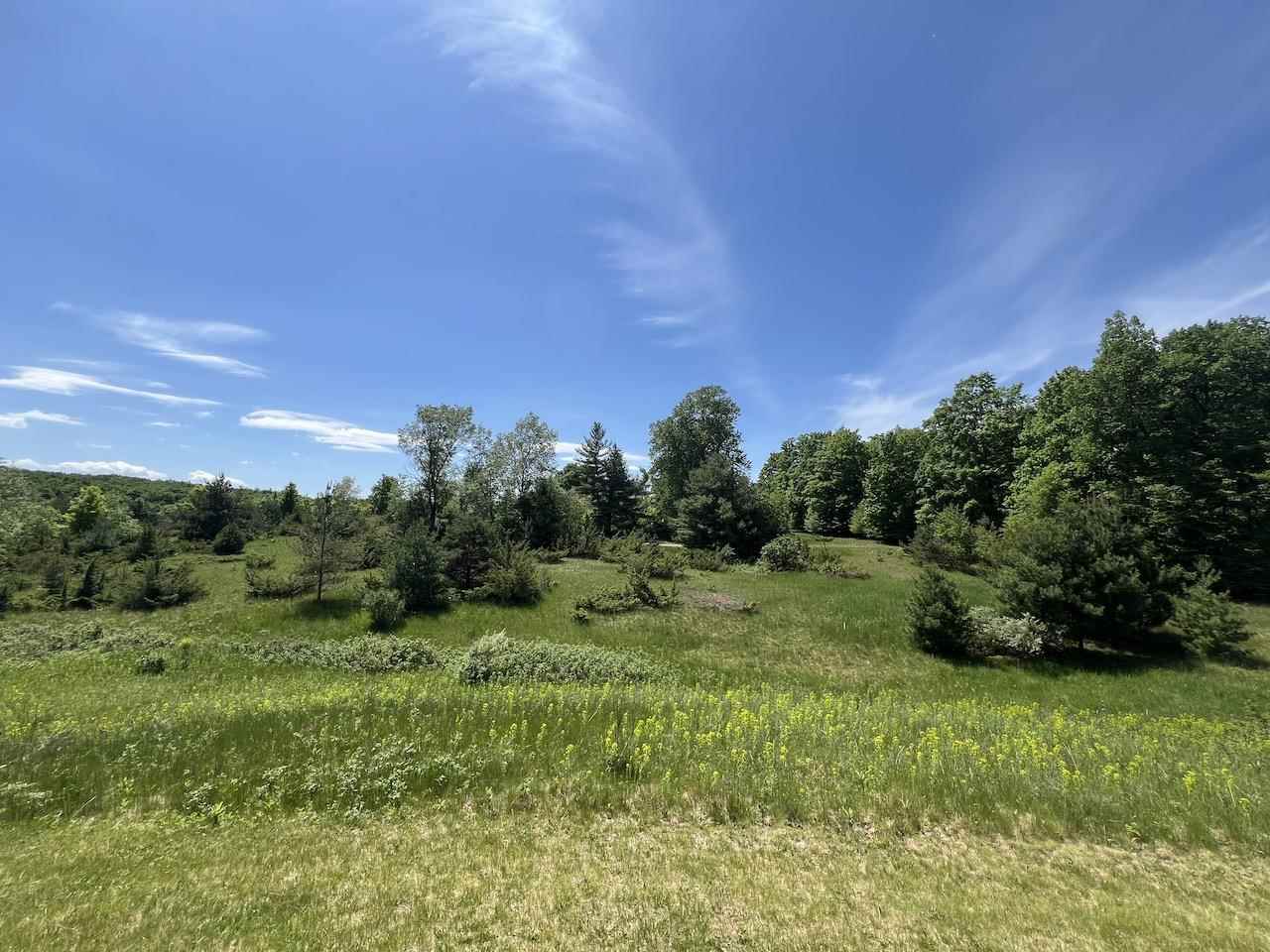 Unit 41 Talon Trace Bellaire MI 49615