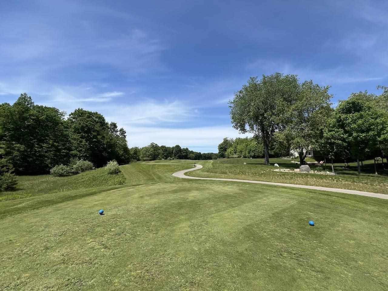 Unit 41 Talon Trace Bellaire MI 49615