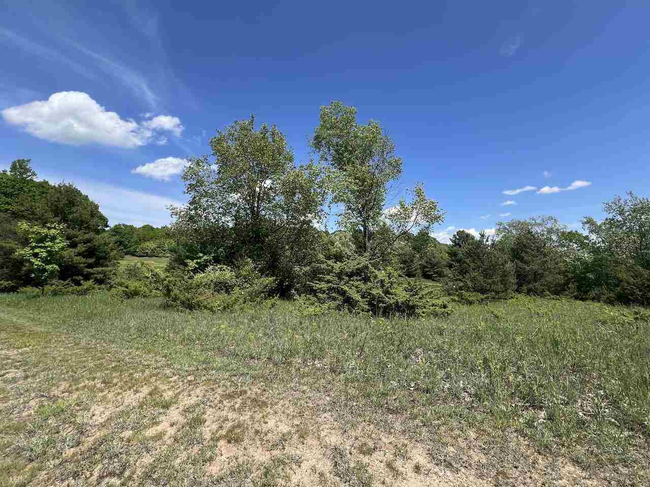 Unit 41 Talon Trace Bellaire MI 49615