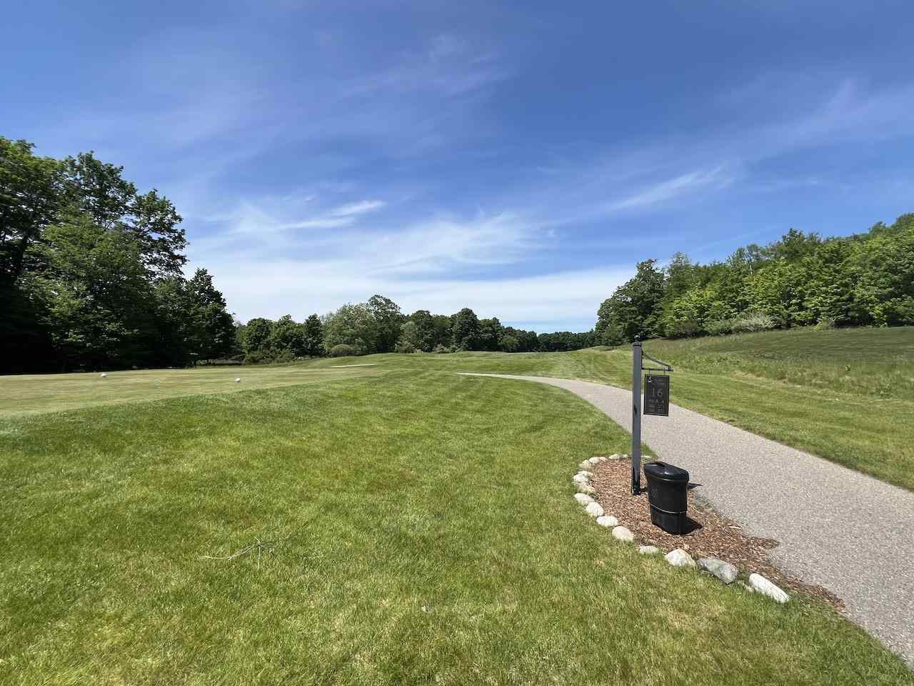 Unit 41 Talon Trace Bellaire MI 49615