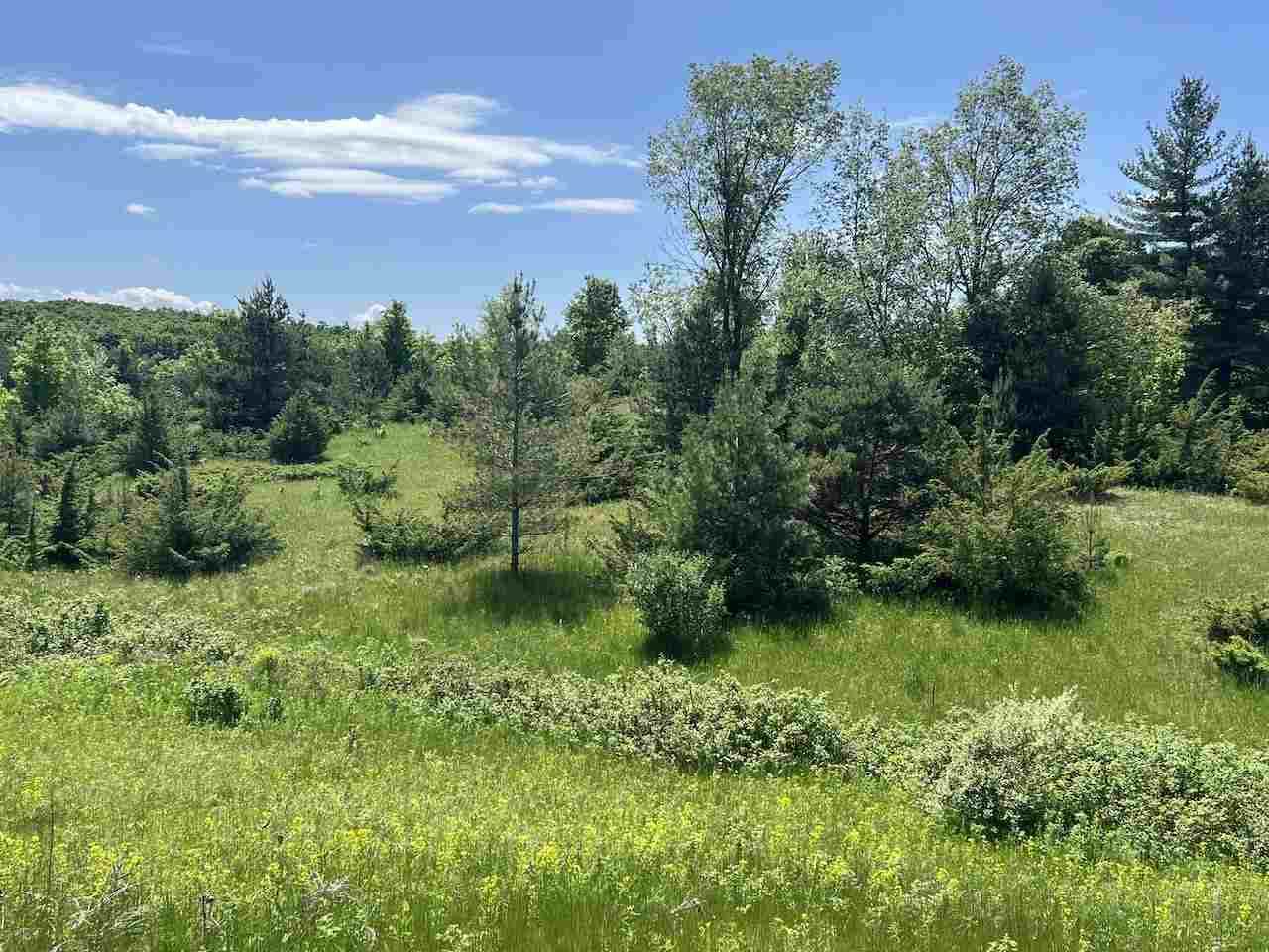 Unit 41 Talon Trace Bellaire MI 49615