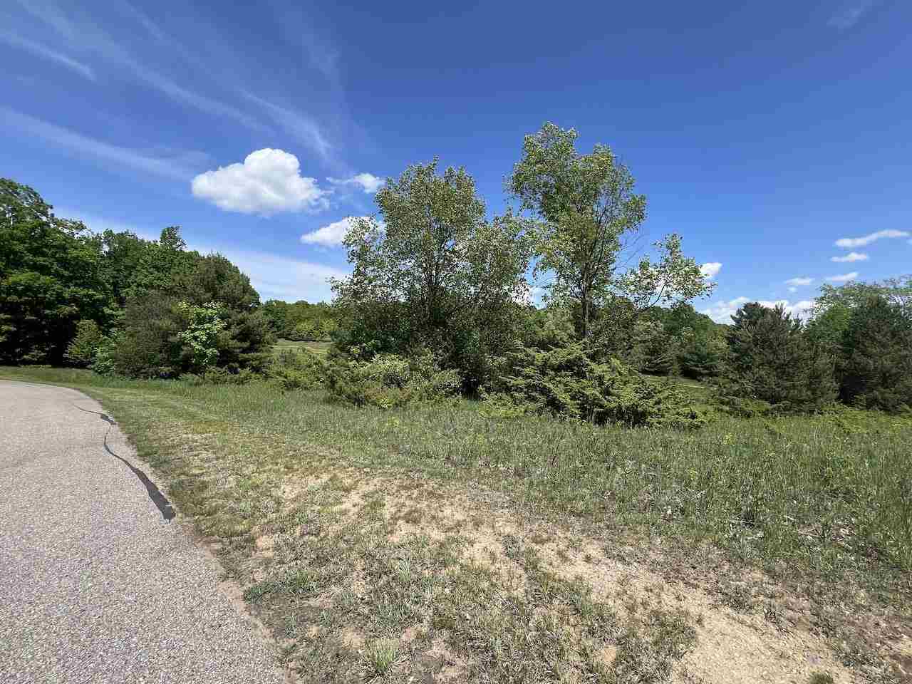 Unit 41 Talon Trace Bellaire MI 49615