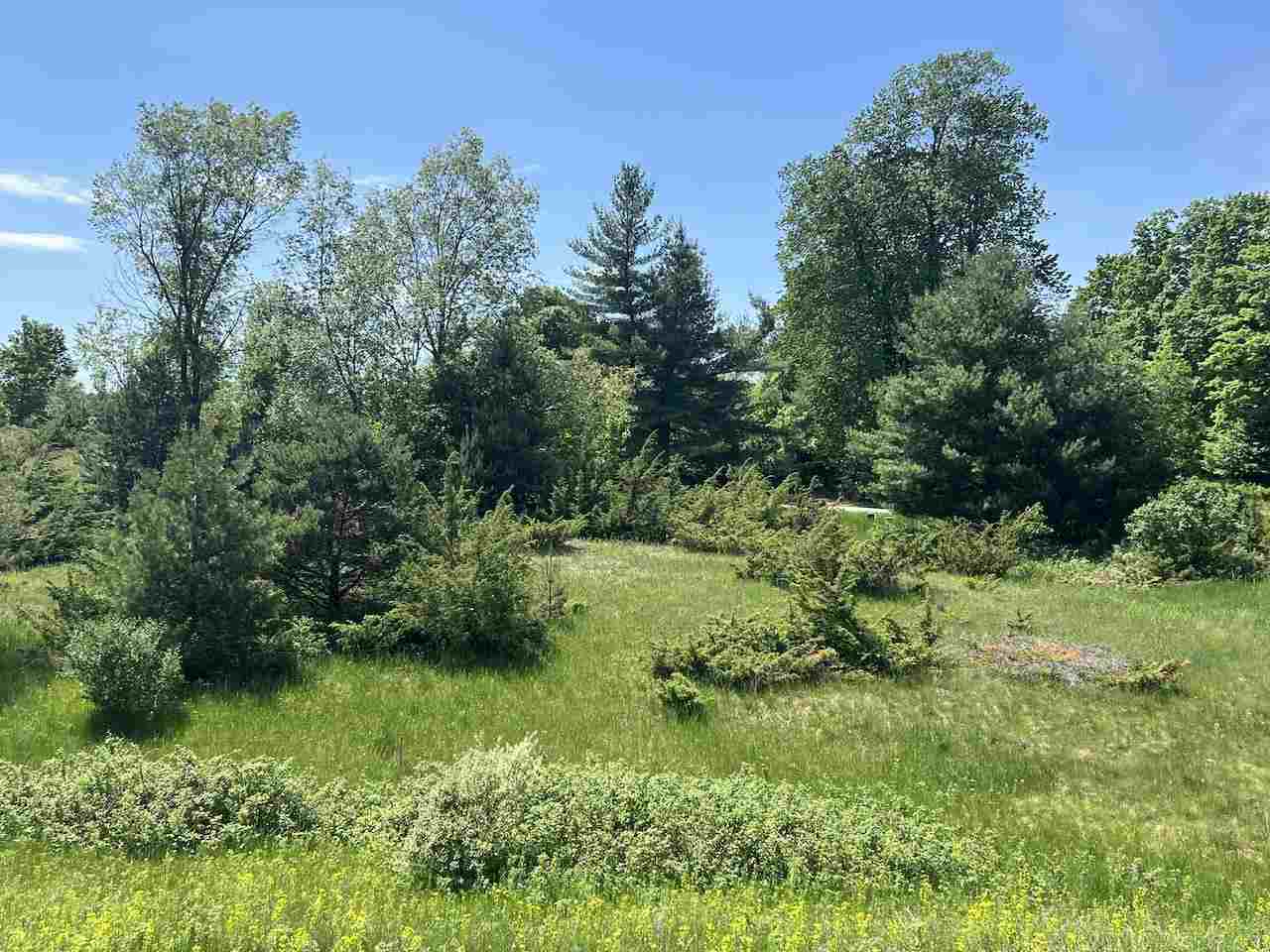 Unit 41 Talon Trace Bellaire MI 49615