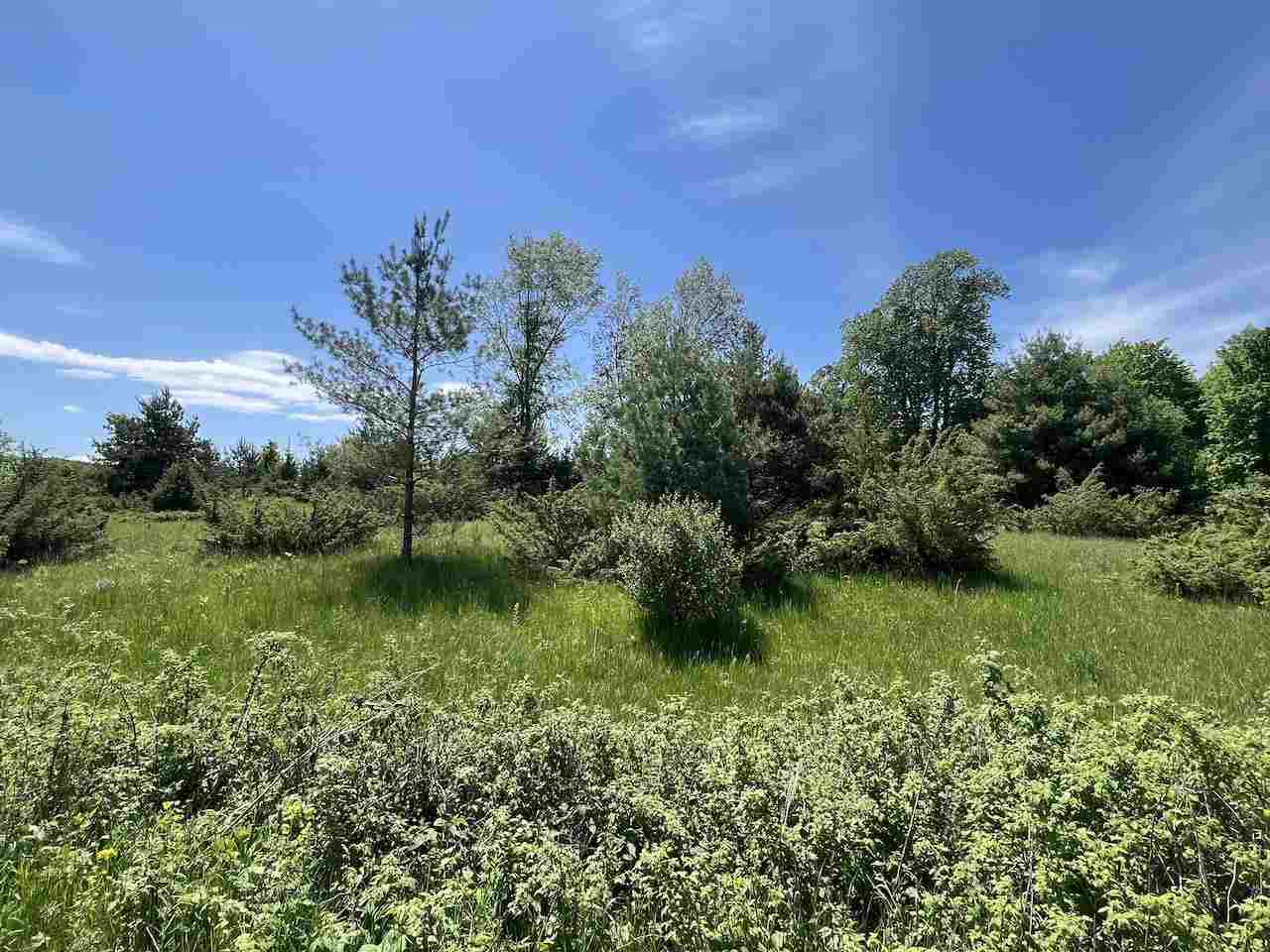 Unit 41 Talon Trace Bellaire MI 49615