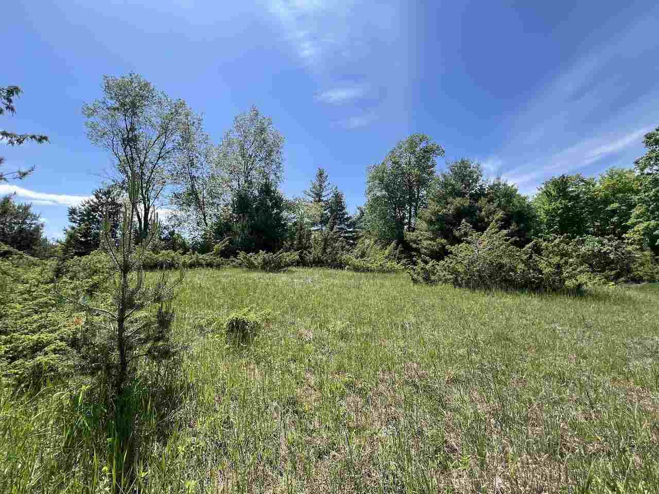 Unit 41 Talon Trace Bellaire MI 49615