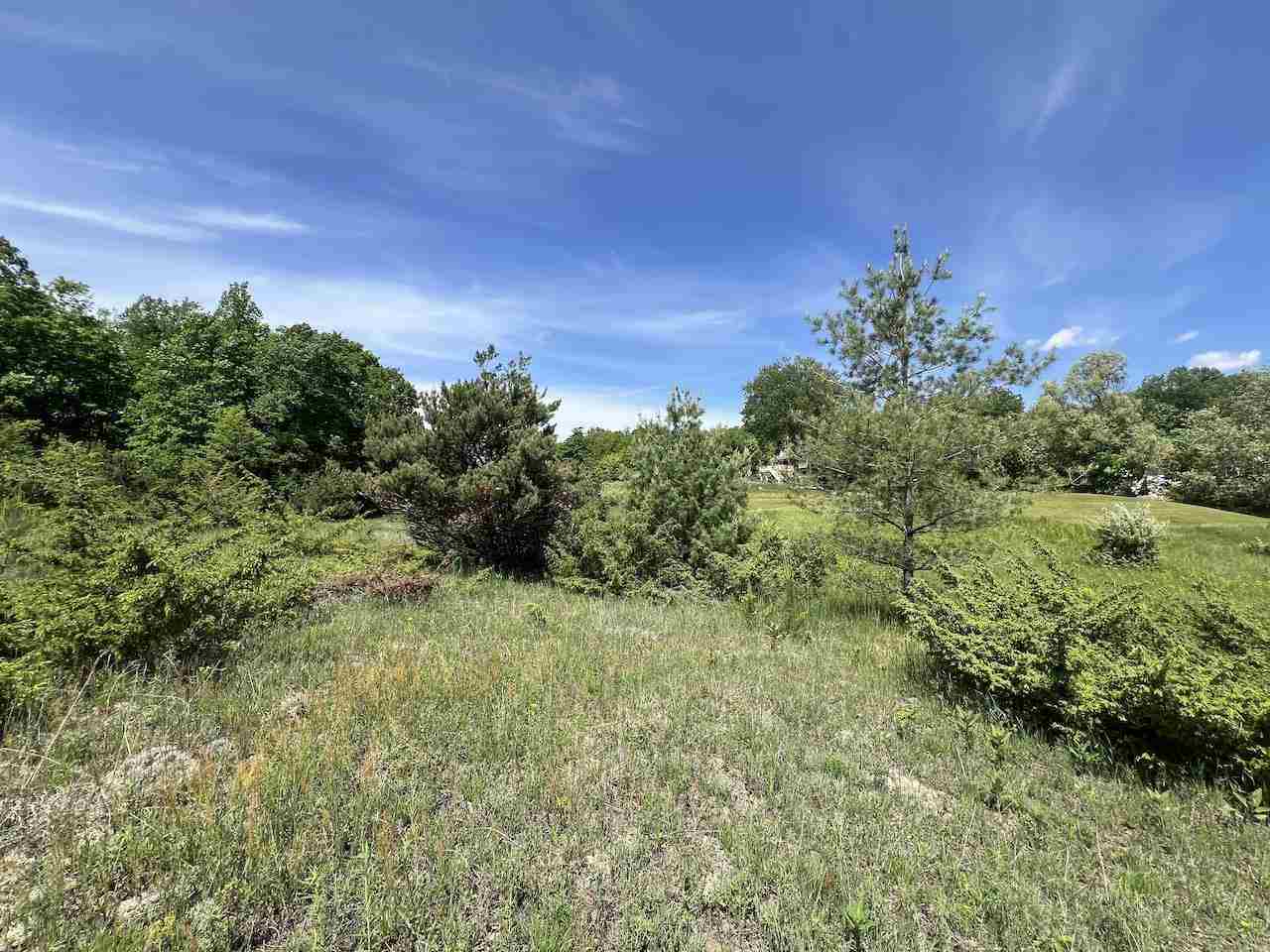 Unit 41 Talon Trace Bellaire MI 49615