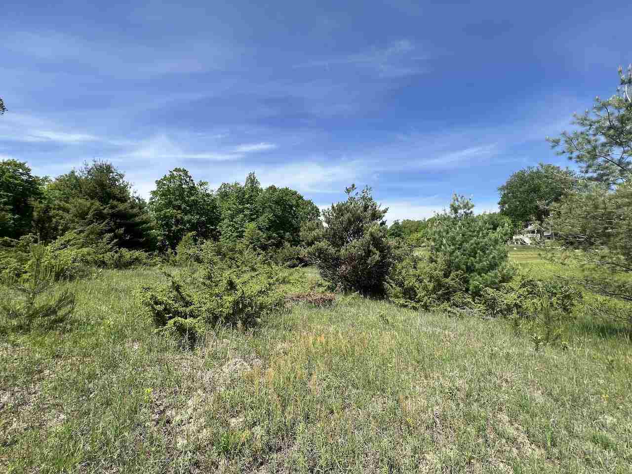 Unit 41 Talon Trace Bellaire MI 49615