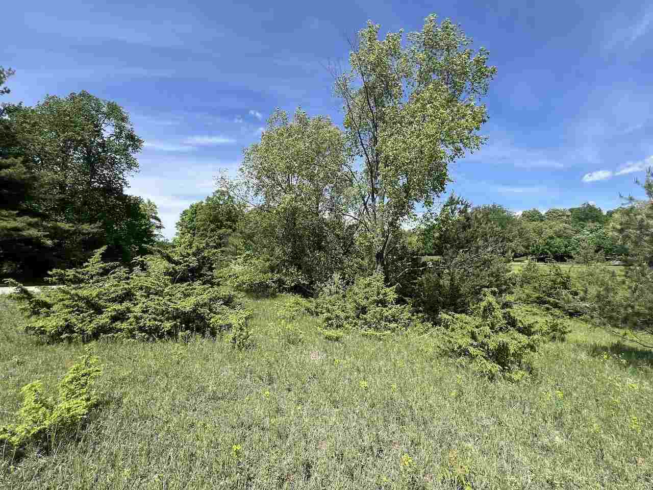 Unit 41 Talon Trace Bellaire MI 49615