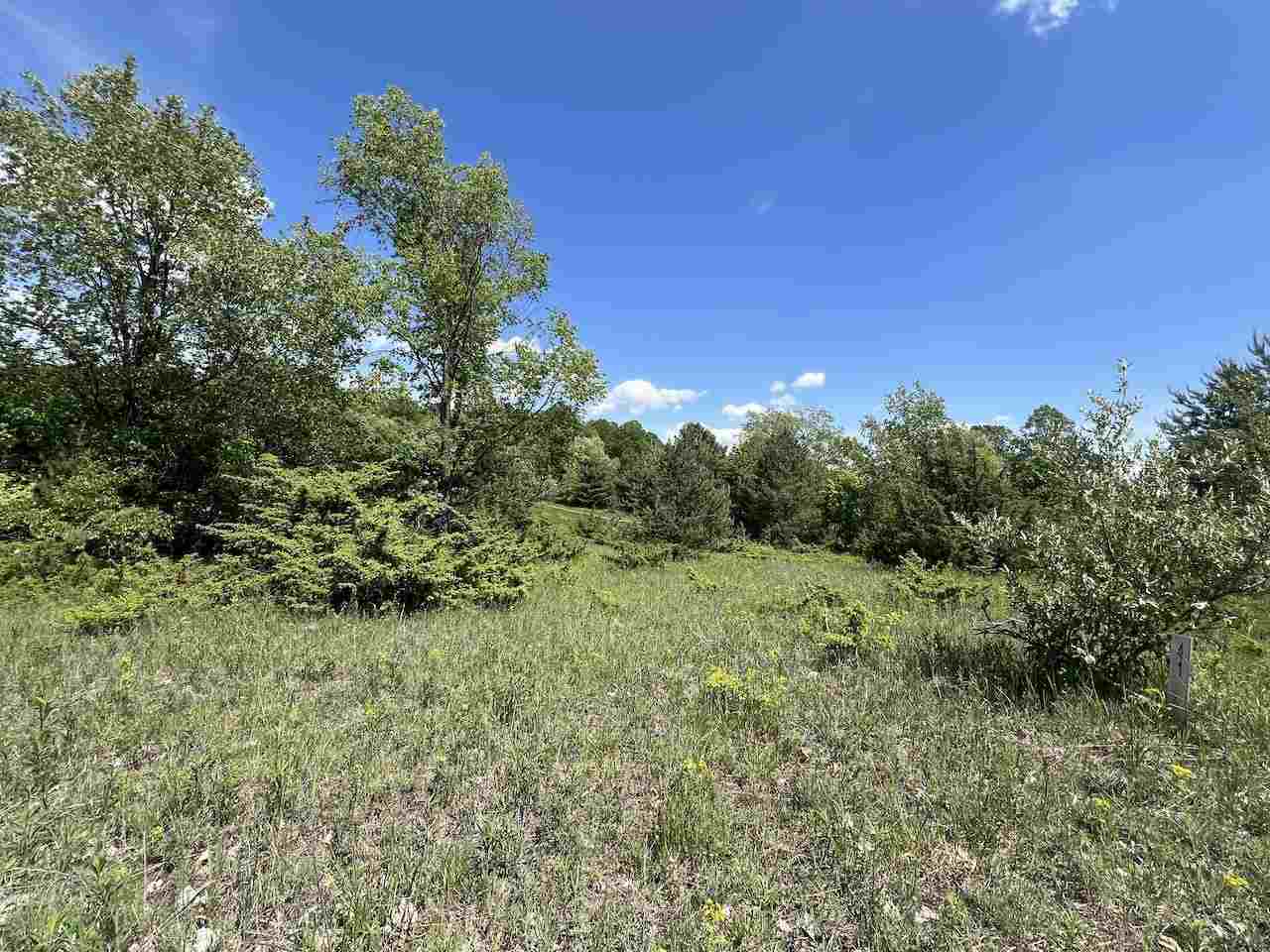 Unit 41 Talon Trace Bellaire MI 49615