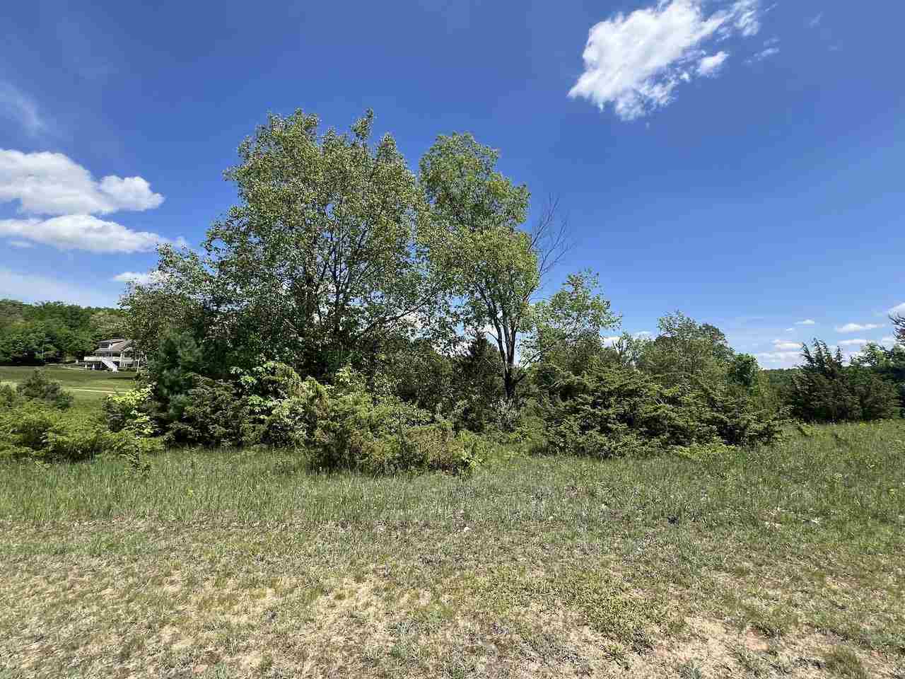 Unit 41 Talon Trace Bellaire MI 49615