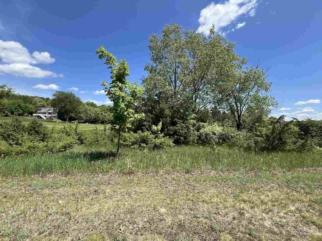 Unit 41 Talon Trace Bellaire MI 49615