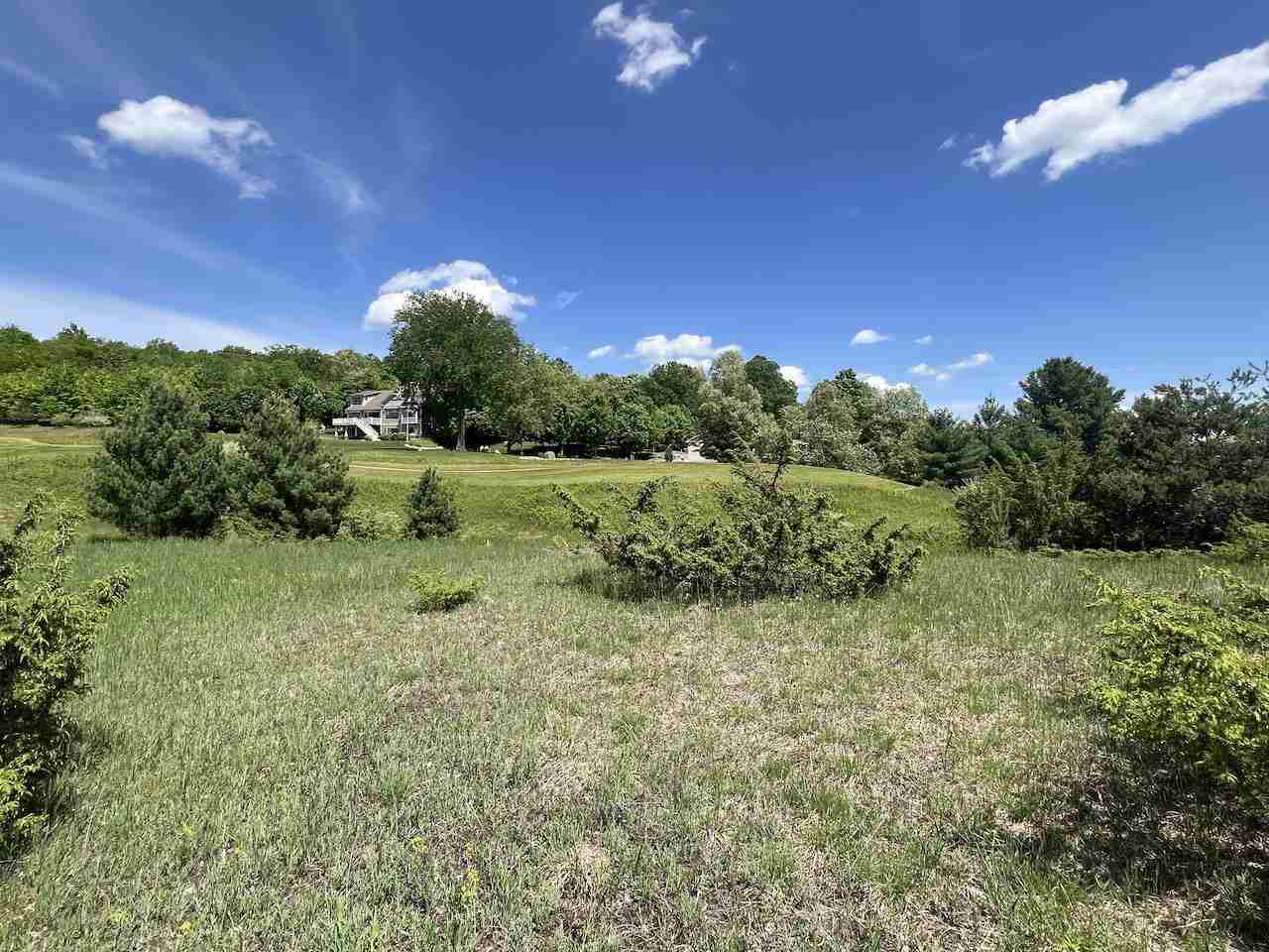 Unit 41 Talon Trace Bellaire MI 49615