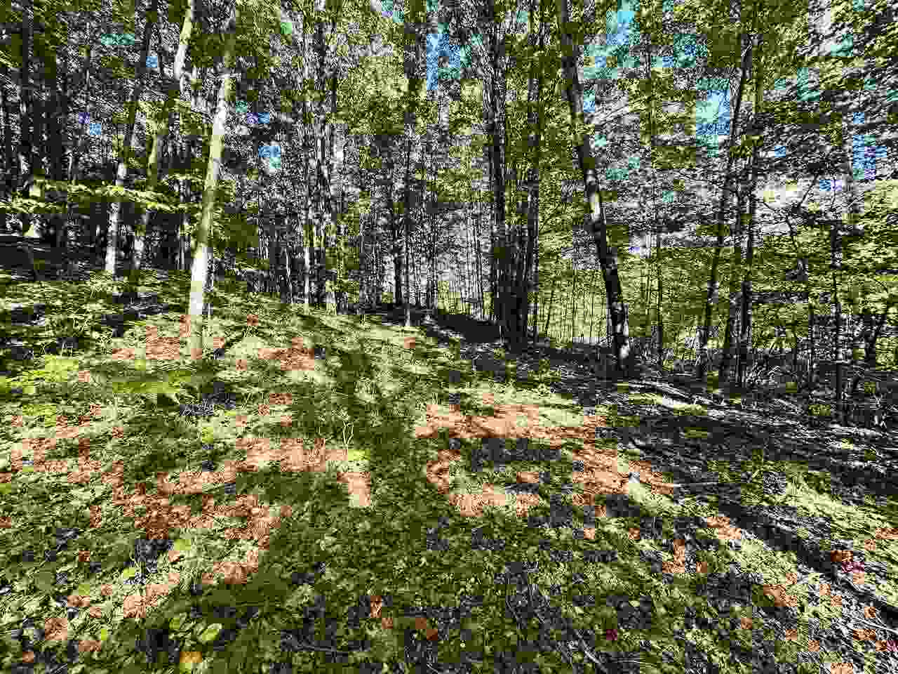 Parcel D Shanty Creek Road Bellaire MI 49615