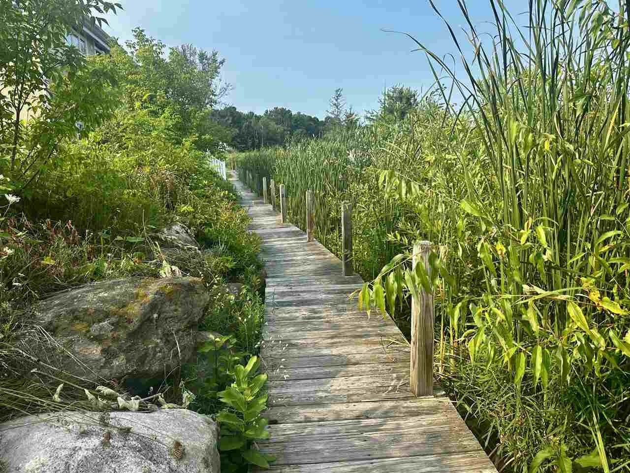 2803 West Shore Drive And Boat Slip 24 Central Lake MI 49622