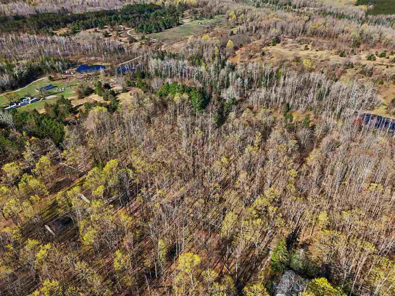 13200 Congdon Road Wolverine MI 49799