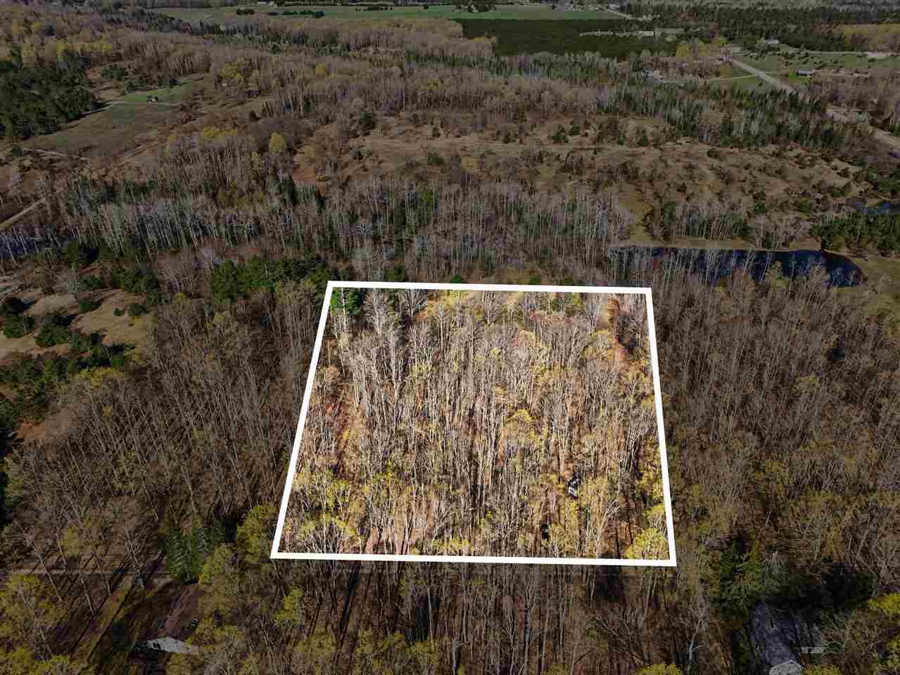 13200 Congdon Road Wolverine MI 49799