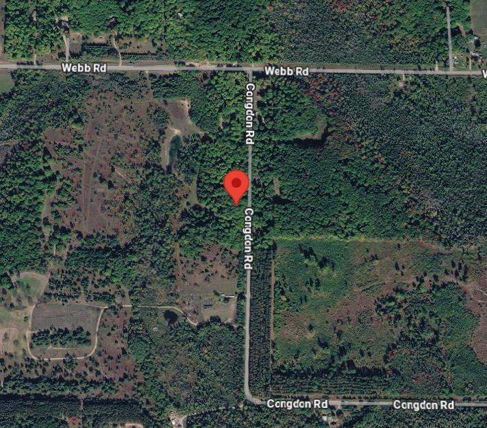 13200 Congdon Road Wolverine MI 49799