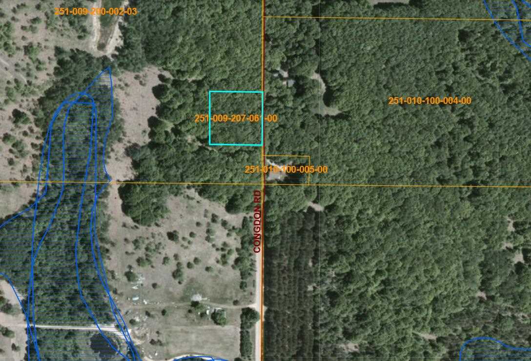 13200 Congdon Road Wolverine MI 49799
