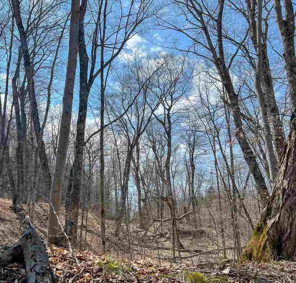 Lot 247 White Birch Road Beaver Island MI 49782