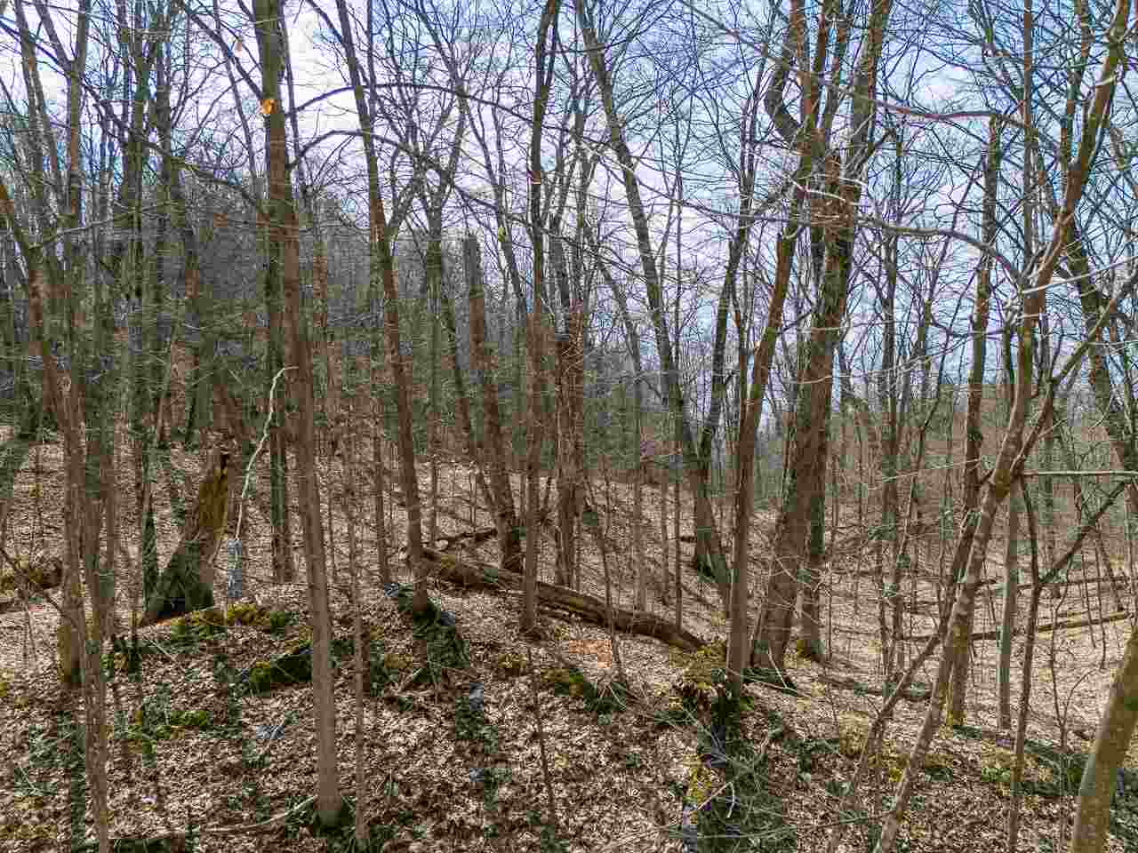 Lot 247 White Birch Road Beaver Island MI 49782