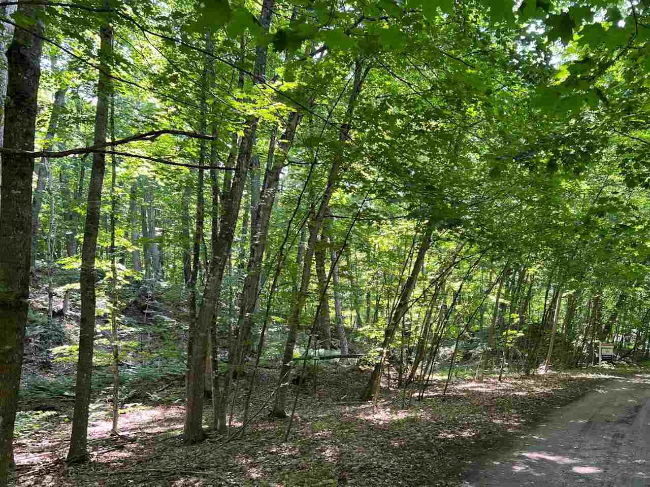 Lot 247 White Birch Road Beaver Island MI 49782