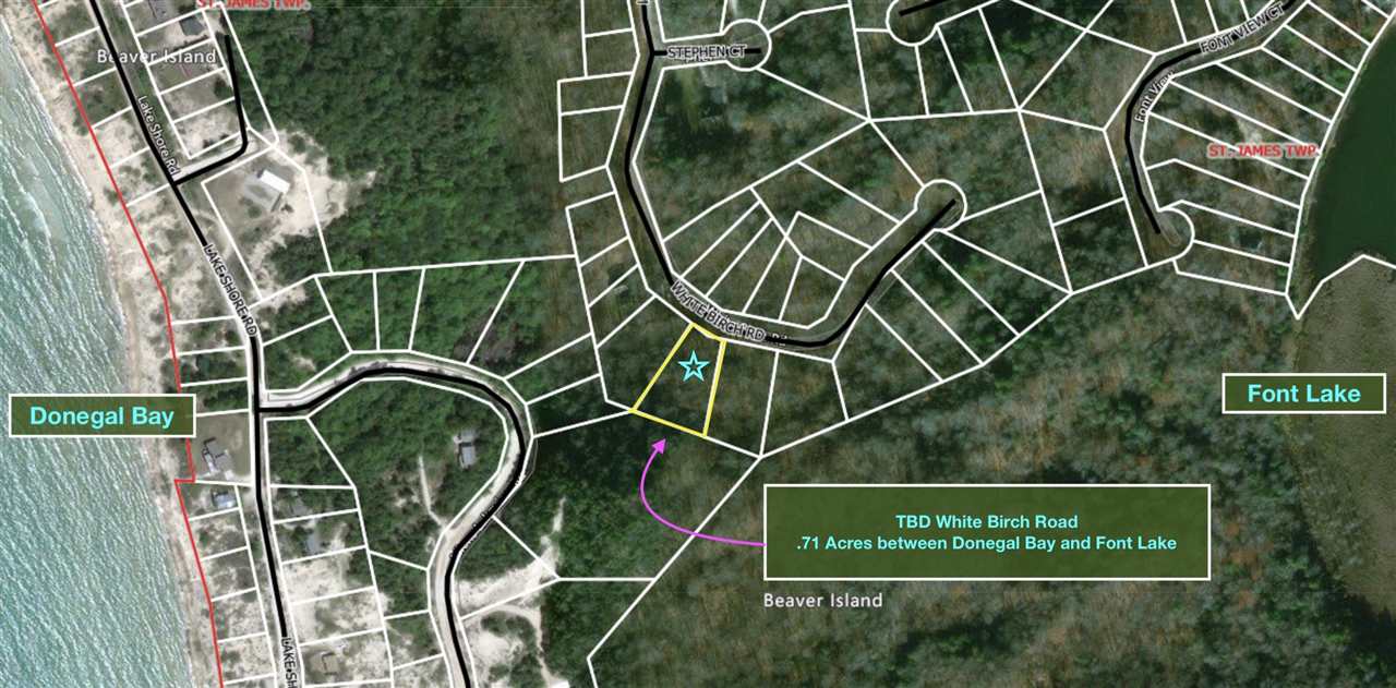 Lot 247 White Birch Road Beaver Island MI 49782