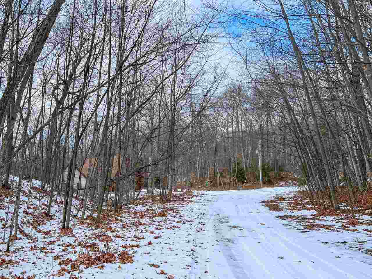 Lot 247 White Birch Road Beaver Island MI 49782