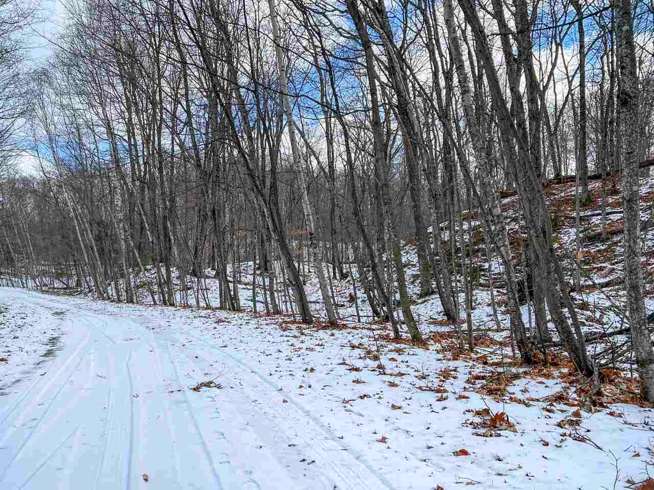 Lot 247 White Birch Road Beaver Island MI 49782