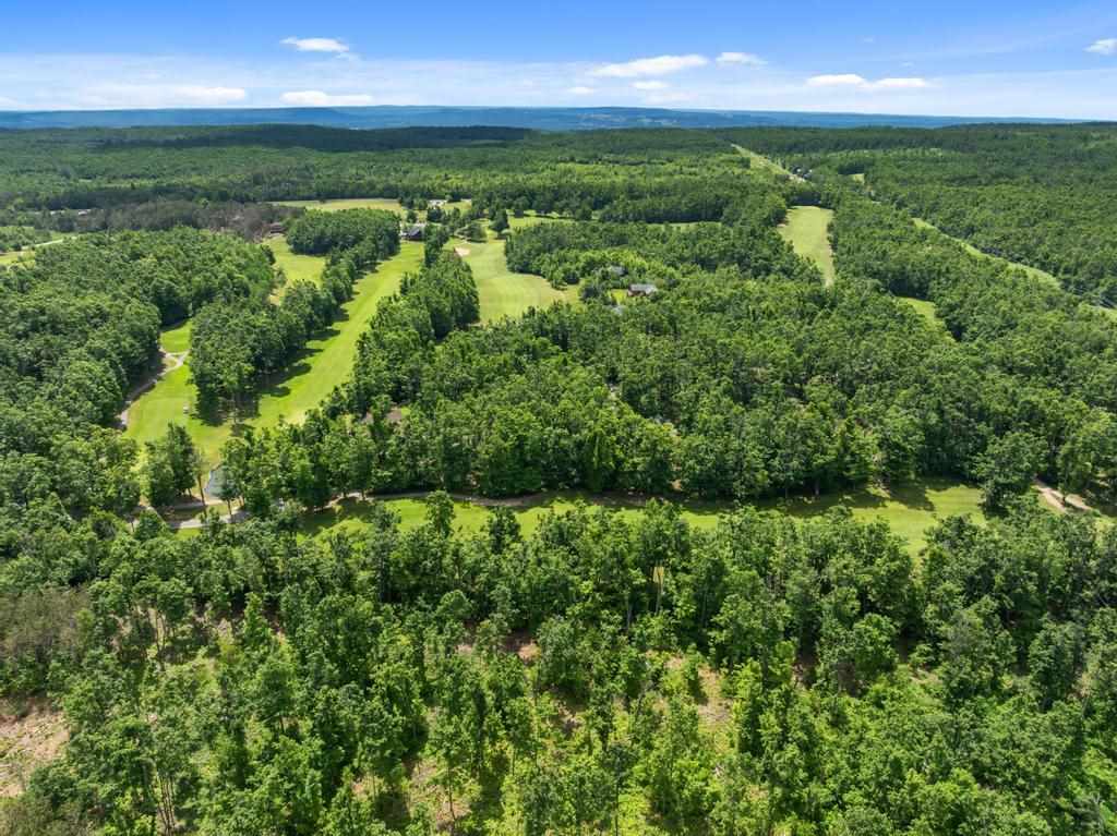 1781 Stonehedge Court Harbor Springs MI 49740
