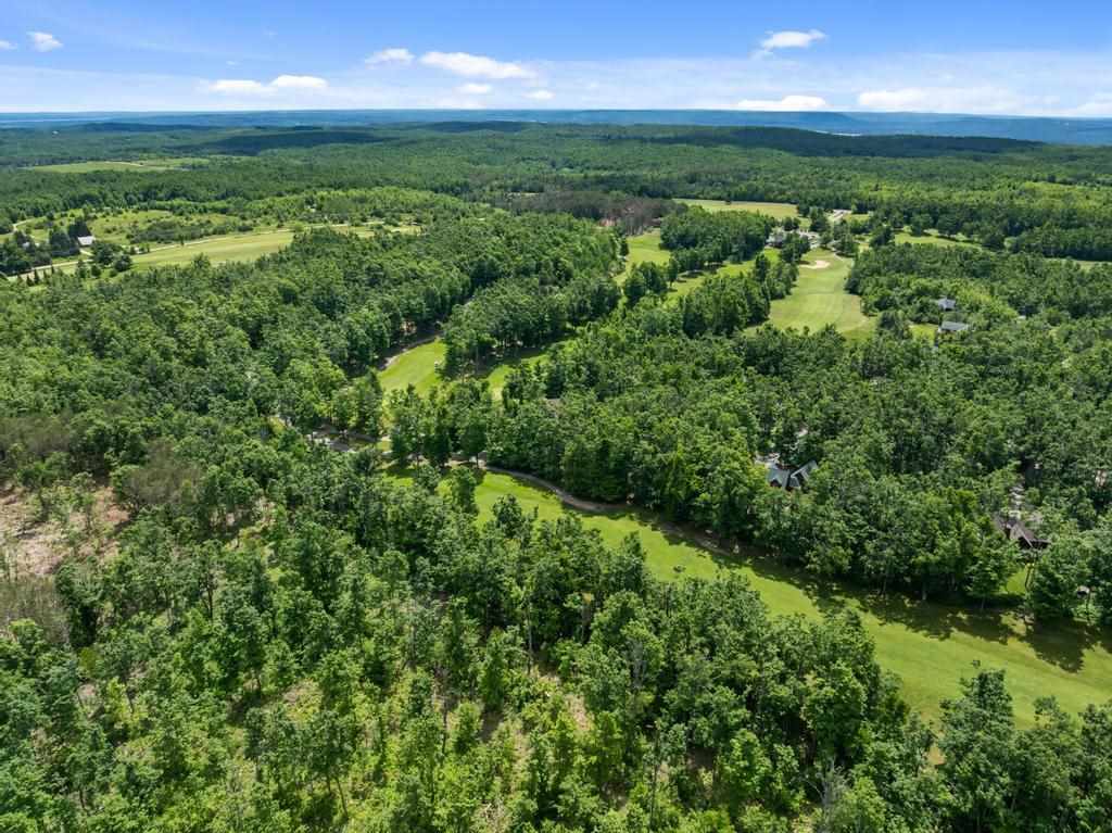 1781 Stonehedge Court Harbor Springs MI 49740