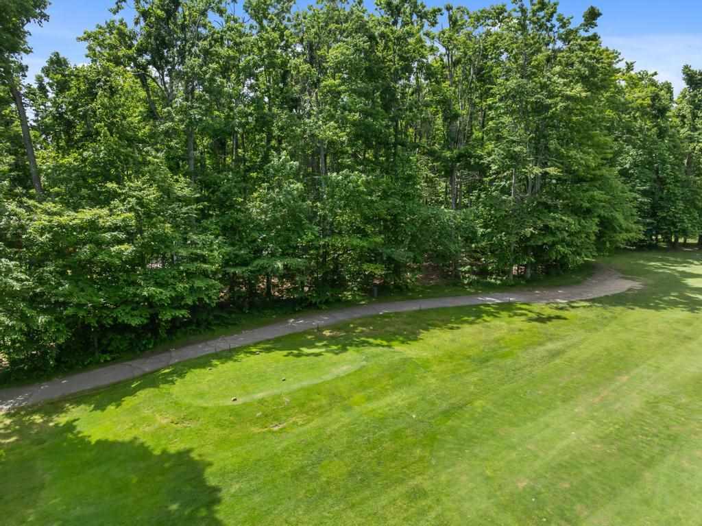 1781 Stonehedge Court Harbor Springs MI 49740