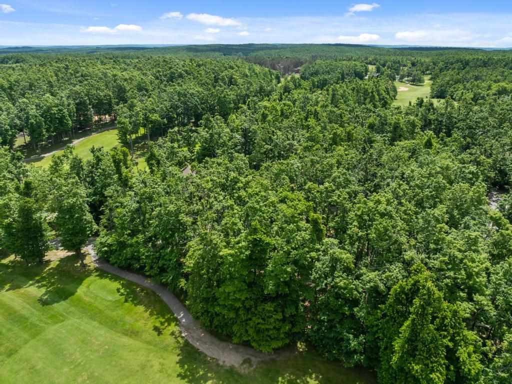 1781 Stonehedge Court Harbor Springs MI 49740