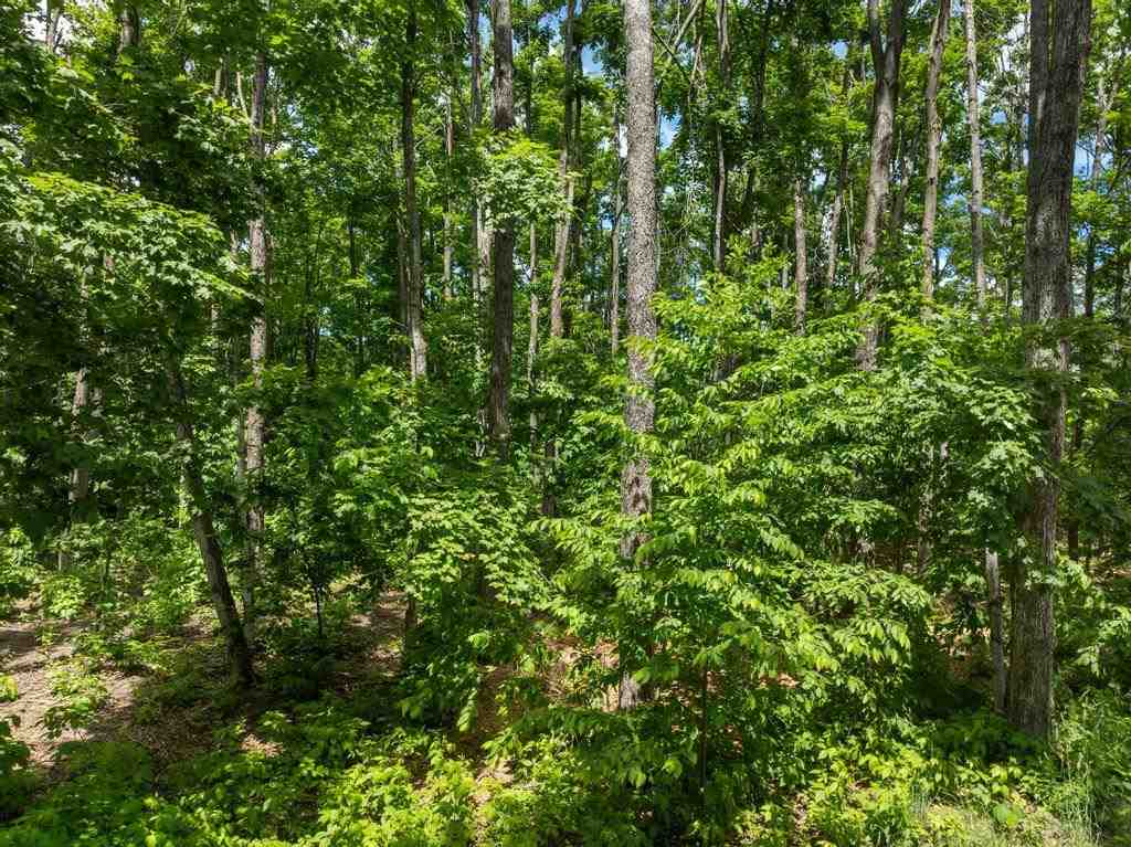 1781 Stonehedge Court Harbor Springs MI 49740