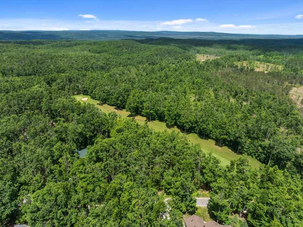 1781 Stonehedge Court Harbor Springs MI 49740