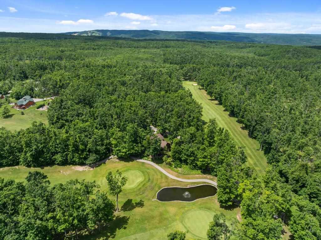 1781 Stonehedge Court Harbor Springs MI 49740