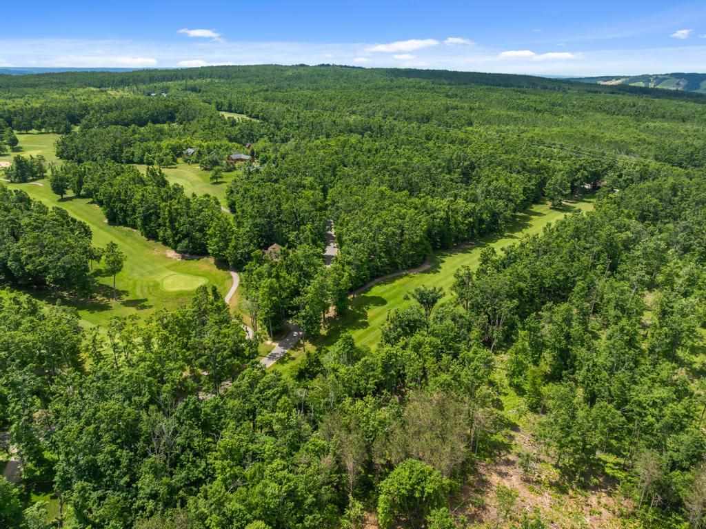 1781 Stonehedge Court Harbor Springs MI 49740