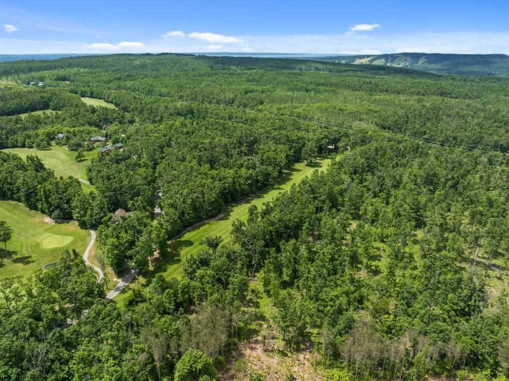 1781 Stonehedge Court Harbor Springs MI 49740