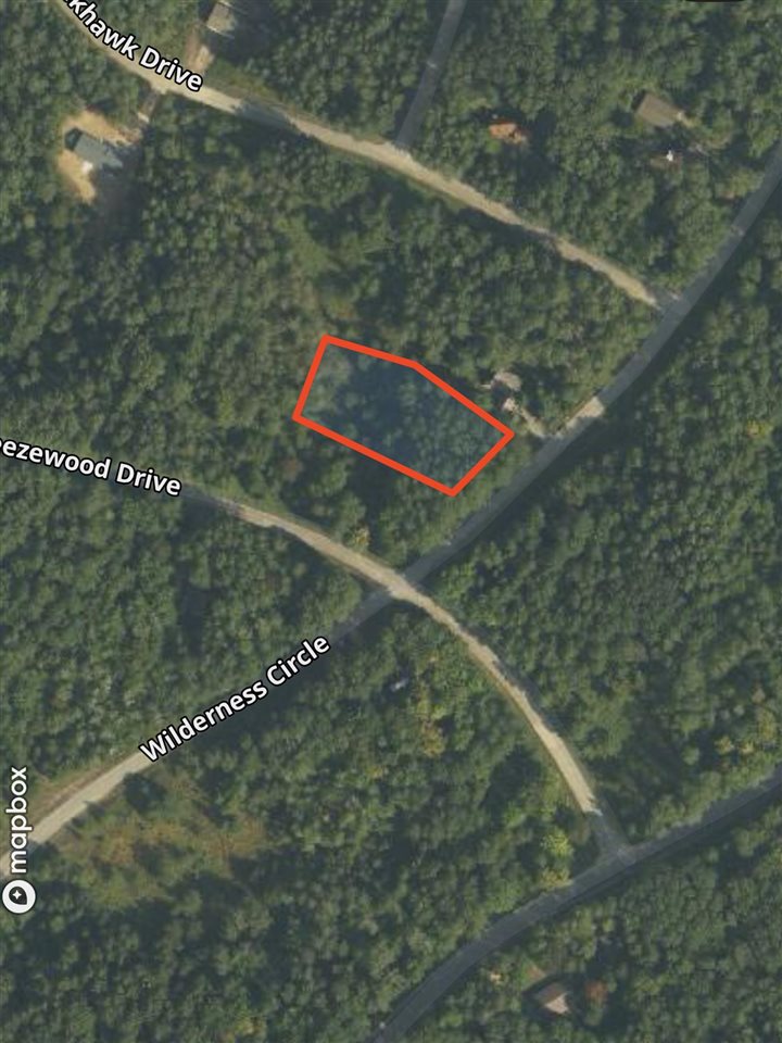 Lot 35 Wilderness Drive Mancelona MI 49659