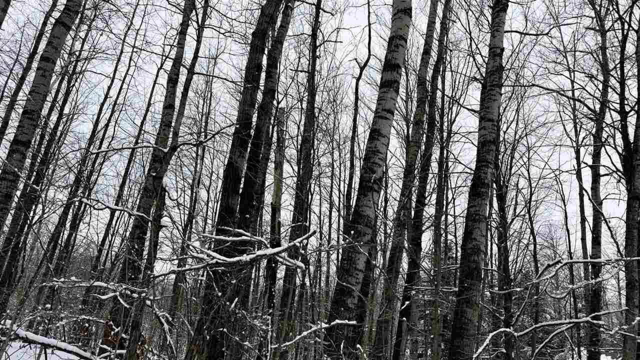 Lot 35 Wilderness Drive Mancelona MI 49659