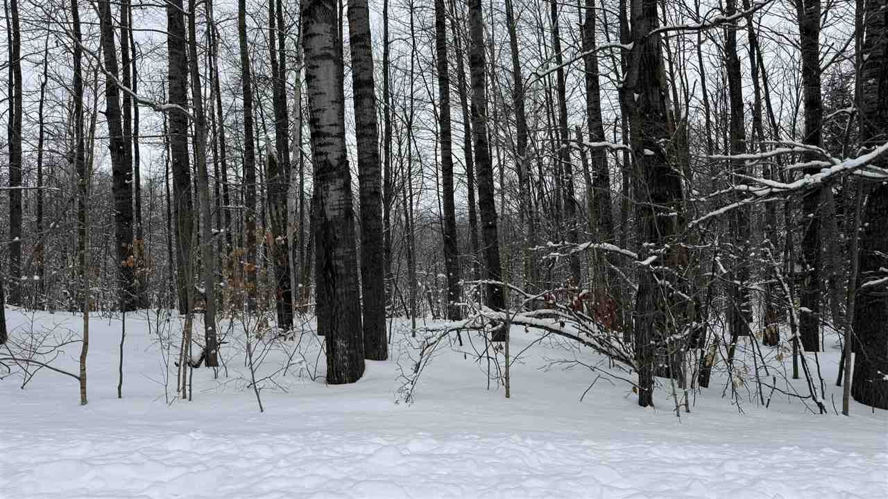 Lot 35 Wilderness Drive Mancelona MI 49659