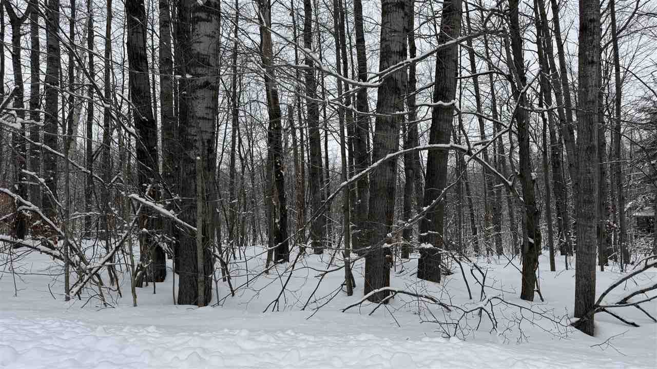 Lot 35 Wilderness Drive Mancelona MI 49659