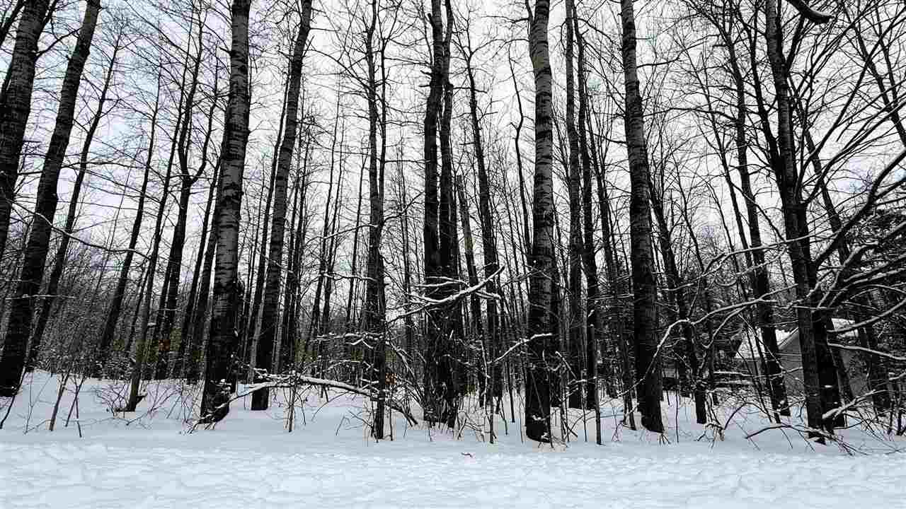 Lot 35 Wilderness Drive Mancelona MI 49659